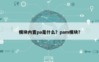 模块内置pa是什么？pam模块？