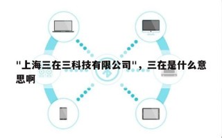 "上海三在三科技有限公司"，三在是什么意思啊