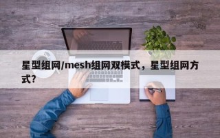 星型组网/mesh组网双模式，星型组网方式？