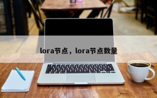lora节点，lora节点数量