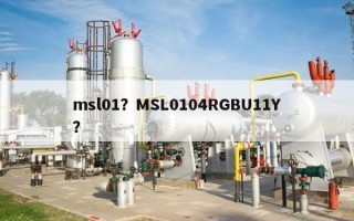 msl01？MSL0104RGBU11Y？