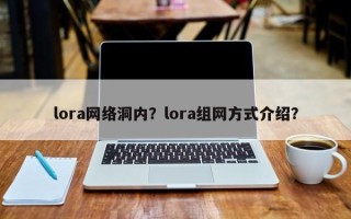 lora网络洞内？lora组网方式介绍？