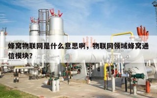 蜂窝物联网是什么意思啊，物联网领域蜂窝通信模块？