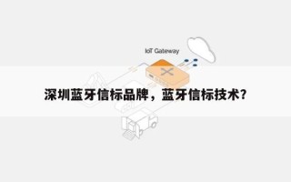 深圳蓝牙信标品牌，蓝牙信标技术？