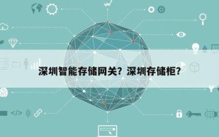 深圳智能存储网关？深圳存储柜？