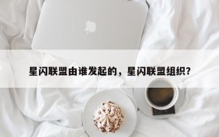 星闪联盟由谁发起的，星闪联盟组织？