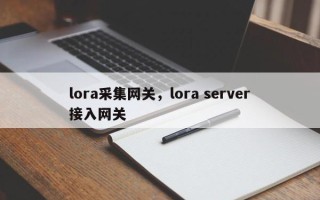lora采集网关，lora server接入网关
