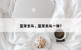 蓝牙主从，蓝牙主从一体？