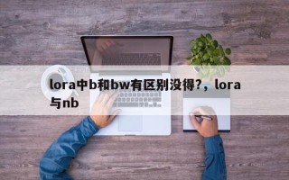lora中b和bw有区别没得?，lora与nb