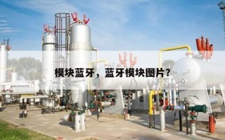 模块蓝牙，蓝牙模块图片？