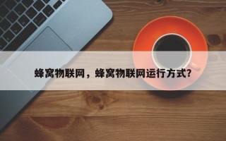 蜂窝物联网，蜂窝物联网运行方式？