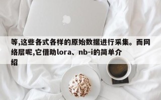 等,这些各式各样的原始数据进行采集。而网络层呢,它借助lora、nb-i的简单介绍