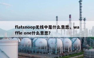 flatsnoop无线中是什么意思，waffle one什么意思？