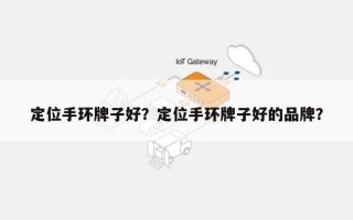 定位手环牌子好？定位手环牌子好的品牌？