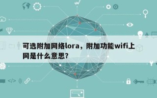 可选附加网络lora，附加功能wifi上网是什么意思？