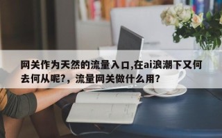 网关作为天然的流量入口,在ai浪潮下又何去何从呢?，流量网关做什么用？