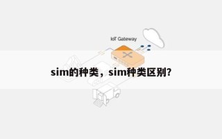 sim的种类，sim种类区别？