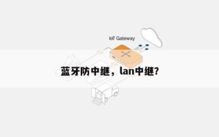 蓝牙防中继，lan中继？