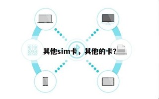 其他sim卡，其他的卡？