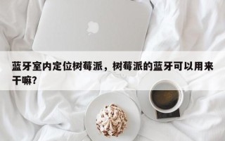 蓝牙室内定位树莓派，树莓派的蓝牙可以用来干嘛？