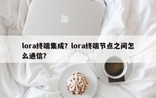 lora终端集成？lora终端节点之间怎么通信？