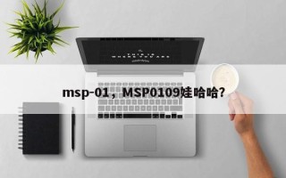 msp-01，MSP0109娃哈哈？
