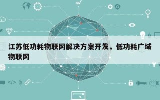 江苏低功耗物联网解决方案开发，低功耗广域物联网