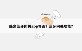 蜂窝蓝牙网关app界面？蓝牙网关功能？