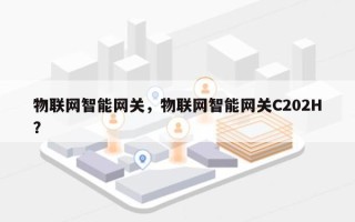 物联网智能网关，物联网智能网关C202H？
