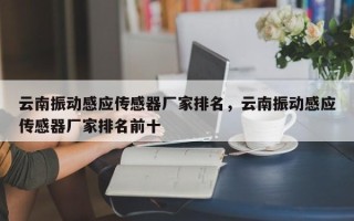 云南振动感应传感器厂家排名，云南振动感应传感器厂家排名前十