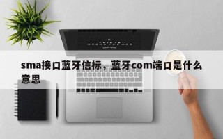 sma接口蓝牙信标，蓝牙com端口是什么意思