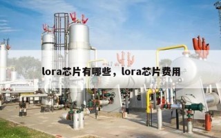 lora芯片有哪些，lora芯片费用
