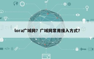 lora广域网？广域网常用接入方式？
