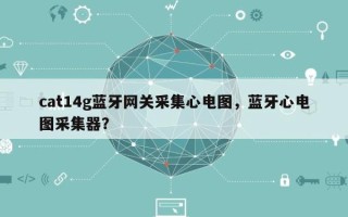 cat14g蓝牙网关采集心电图，蓝牙心电图采集器？