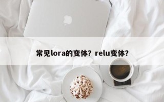 常见lora的变体？relu变体？