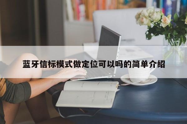 蓝牙信标模式做定位可以吗的简单介绍-第1张图片