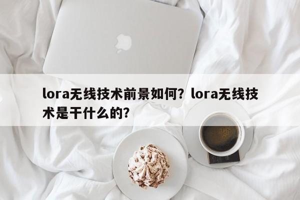 lora无线技术前景如何？lora无线技术是干什么的？-第1张图片