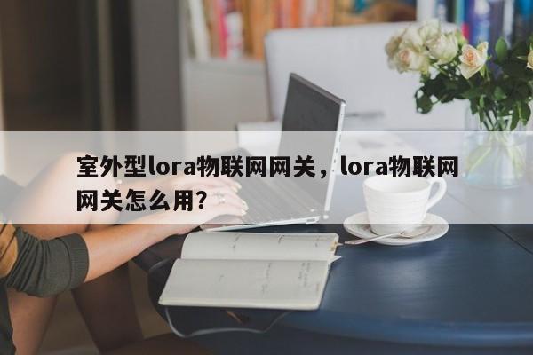 室外型lora物联网网关，lora物联网网关怎么用？-第1张图片