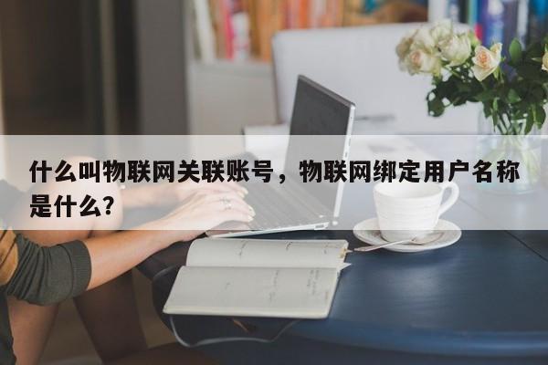 什么叫物联网关联账号，物联网绑定用户名称是什么？-第1张图片