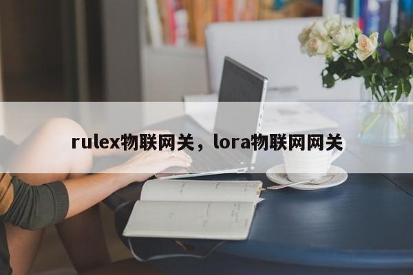 rulex物联网关，lora物联网网关-第1张图片