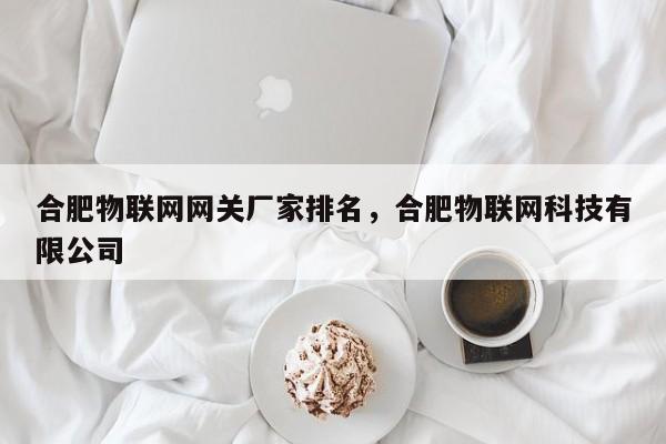 合肥物联网网关厂家排名，合肥物联网科技有限公司-第1张图片