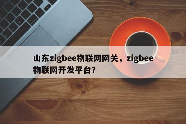 山东zigbee物联网网关，zigbee物联网开发平台？-第1张图片