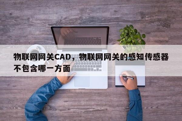 物联网网关CAD，物联网网关的感知传感器不包含哪一方面-第1张图片