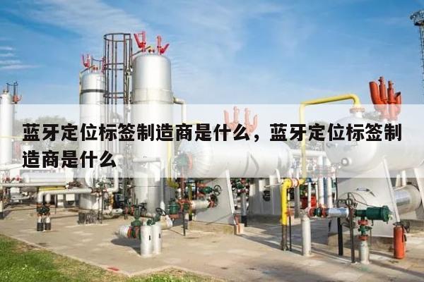 蓝牙定位标签制造商是什么，蓝牙定位标签制造商是什么-第1张图片