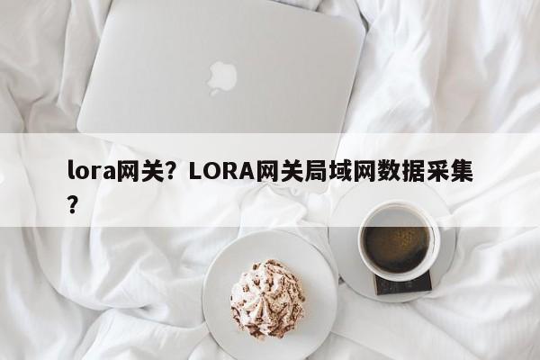 lora网关？LORA网关局域网数据采集？-第1张图片