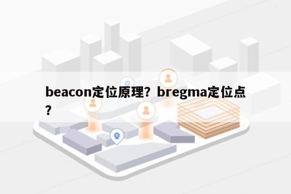 beacon定位原理？bregma定位点？-第1张图片