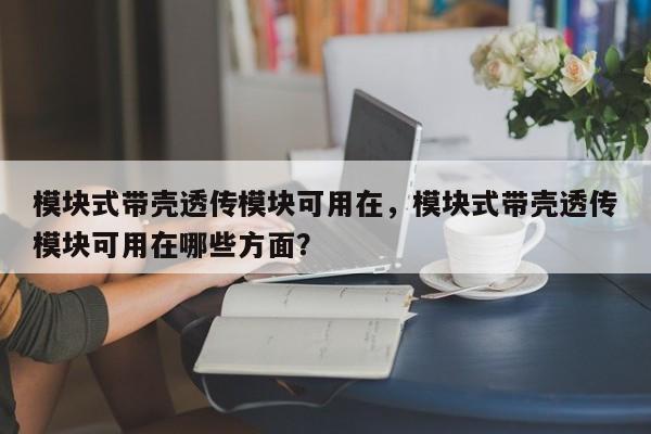 模块式带壳透传模块可用在，模块式带壳透传模块可用在哪些方面？-第1张图片