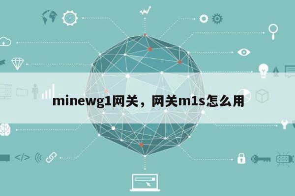 minewg1网关，网关m1s怎么用-第1张图片