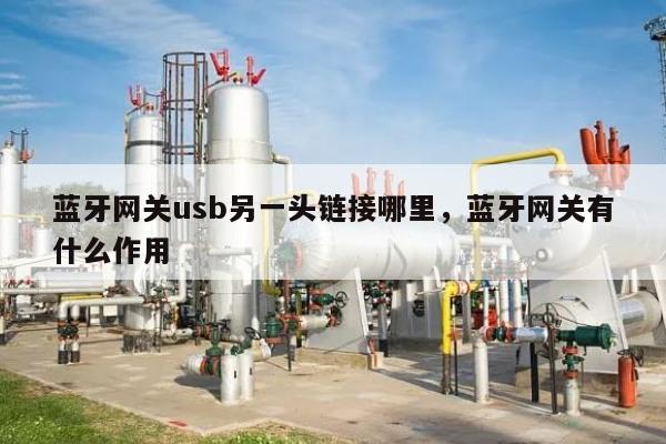 蓝牙网关usb另一头链接哪里，蓝牙网关有什么作用-第1张图片