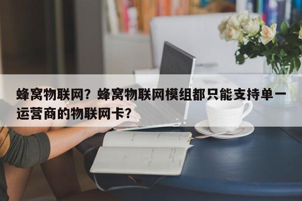 蜂窝物联网？蜂窝物联网模组都只能支持单一运营商的物联网卡？-第1张图片